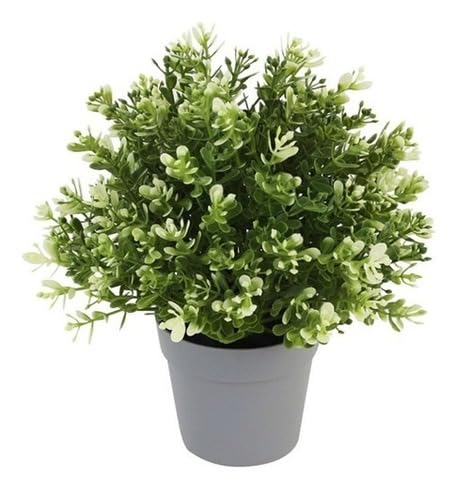 Image of PAPERI Artificial Potted Plant with Pot - Realistic Faux Herb for Home & Garden Decor, Indoor /Outdoor Decoration (Thyme)