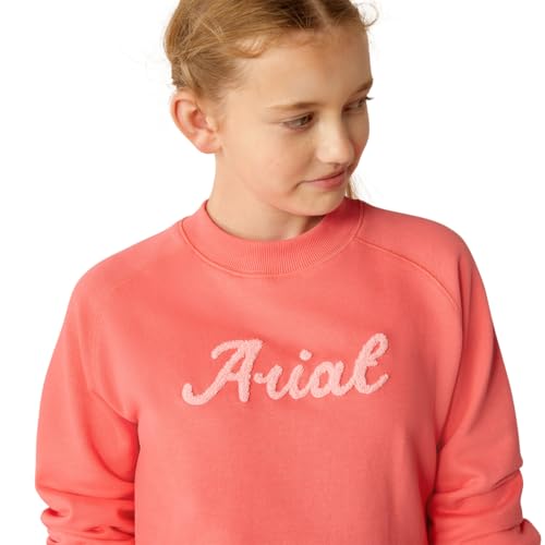 ARIAT Boys' Benicia Sweatshirt4