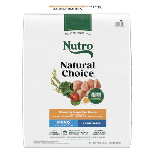 Nutro Natural Choice Large Breed Puppy Food Dry, Chicken &