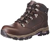 Regatta Ldy Tebay Leather, Botas para Senderismo Mujer, Peat Alpine Purple, 41 EU