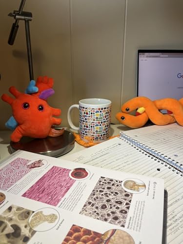Tazón de cerámica GIANTmicrobes colorido 11 oz miniatura 5