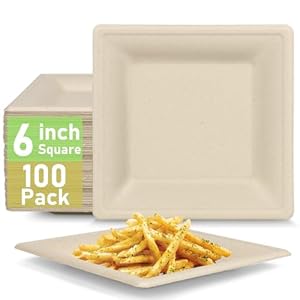 Small Paper Plates Disposable, Square Paper Plates 6 inch, Eco friendly Compostable Paper Plates, Sugarcane Biodegradable Plates, Brown Paper Plates 100 Pack