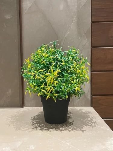 Image of PAPERI Artificial Rosemary Plants for Home Decor - Indoor Fake Rosemary Plant Flowers with Pot, Bathroom Decorations Items, Small Plastic Trees, Decoration Flower for Living Room Table, Yellow