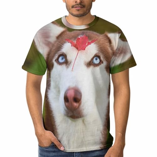 T-Shirt Husky Homme à Col Rond en Coton Doux à Manches Courtes