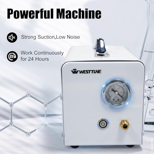 West Tune WTGMZKB-10L Lab Diaphragm Vacuum Pump thumb #3