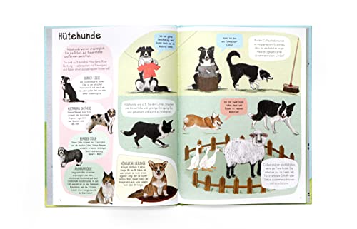Das Hunde-Buch: Zu Besuch bei Hunden aus aller Welt