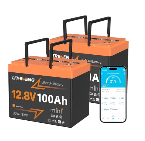 LITHINENG 12V 100Ah LiFePO4 Bluetooth Battery (2 Pack)