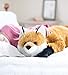 Wind & Weather Fox Body Pillow Large Plush 48