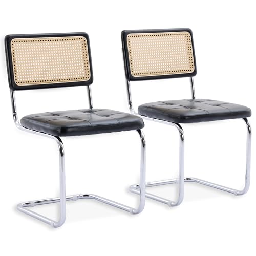 SEEDWAVE 2er-Set Freischwinger Stühle im Vintage-Stil –...