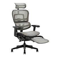 エルゴヒューマン Amazon.co.jp: 【国内300台限定】エルゴヒューマン(ergohuman