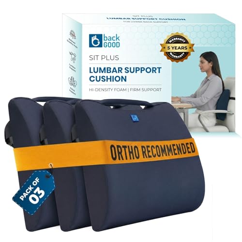 Image of Orthosit Orthopedic Lumbar Support | 5-Yr-Warranty | Back Support Cushion | Back Pain Relief| (Blue - Set of 3)