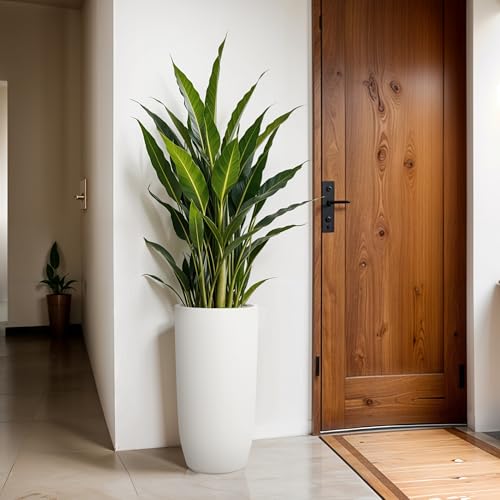 Image of YUCCABE ITALIA FOXB TPC 30 INCH Pots for Plants Highly Durable Polymers Lightweight Indoor Outdoor Plant Pots, Flower Pot Gamla Tree Planter Container Planters for Living Room, Balcony, Garden