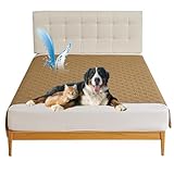Photo Gallery qsztjj coperta impermeabile al 99,99% per cani, lavabile, a prova di pipì, coperta per cani di taglia grande, protegge letto e divano, copridivano a prova di animali domestici (cachi, 75 x 180 cm) Photo Gallery qsztjj coperta impermeabile al 99,99% per cani, lavabile, a prova di pipì, coperta per cani di taglia grande, protegge letto e divano, copridivano a prova di animali domestici (cachi, 75 x 180 cm)