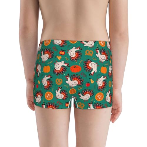 Boys' Cotton Boxer Brief Soft Underwear-Cartoon Turkey3