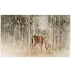 Primitives by Kathy Deer and Fawn Rug