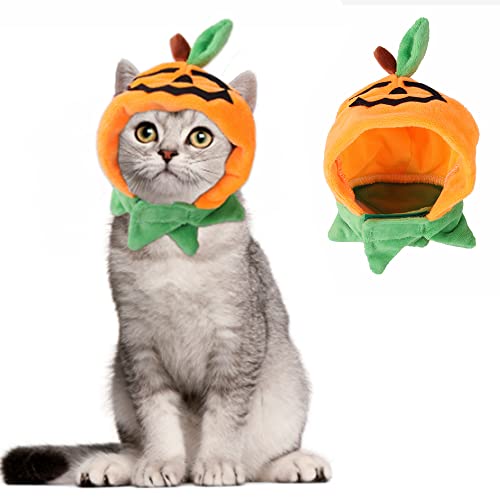Disfraz de Halloween para perro XS con gorro y bufanda de calabaza miniatura 2