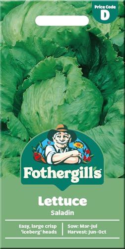 Fothergill's Lettuce Seeds 'Saladin' - Iceberg Type