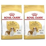 ロイヤルカナン BHN キャバリア キング チャールズ 成犬・高齢犬用 3kg×2個セット ニューパッケージ
