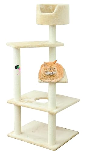 SEIKOH Lbg^[ u 128cm x[W VjA qL ܂Ƃ Ђ  xbh  킢 X ȃXy[X PT0010A