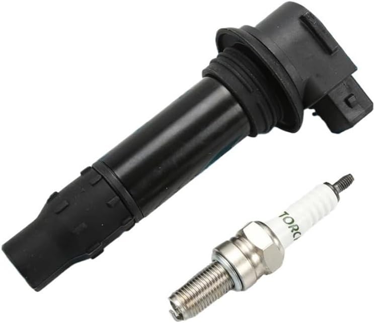 Ignition Coil Voltage Cap Igniter Compatible with CF250SR 300SR 250NK 300NK Motorcycle Accessories(Spark Plug)