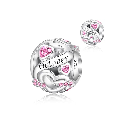 Image of Birthstone Charm 925 Sterling Silver Charms fits Bracelets and Necklace Pendant Bead Happy Birthday Charms Jewelry Present for Women Family Friends