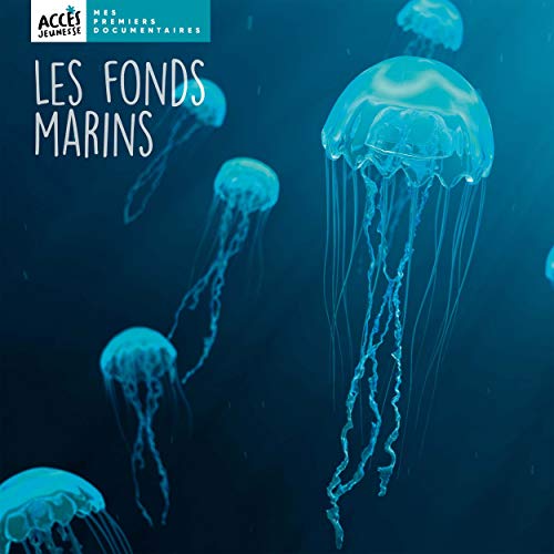  Les fonds marins