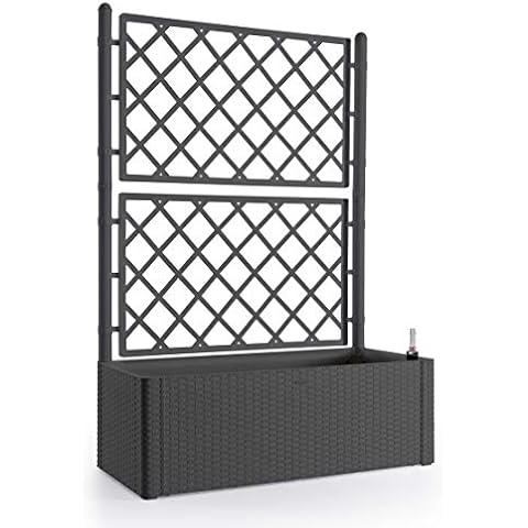 BigDean Rankgitter XL in Anthrazit Cover