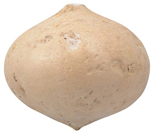 Root Jicama Conventional, 0.5lb