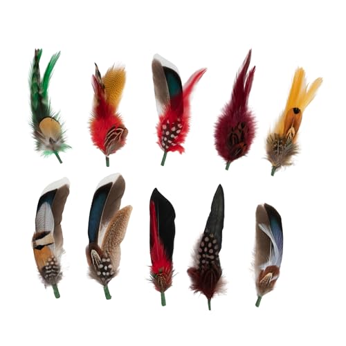 MIX BROWN Hat Feathers Assorted Natural Feather Packs Accessories for Fedora Cowboy Hats Pork Pie Trilby Hats (10 PCS)