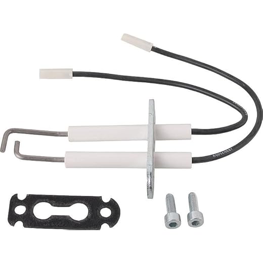Ritzer Electrodo de encendido para Viessmann Vitodens 200-W, 222-W, 222-F - 7826515