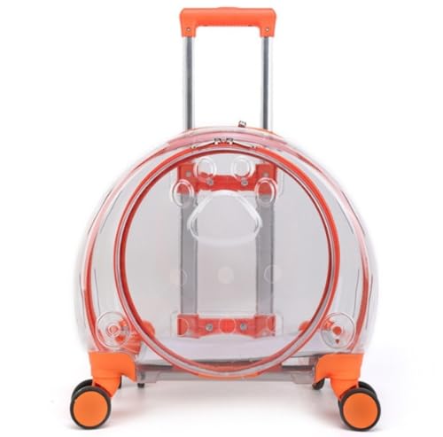 Mearrineser ybgpi ybgL[ N[g |[^uP[W [P[X  [ ^ L [P[X L [obO LP[WO̗A Lvg (IWF)