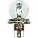 Wagner Lighting Wagner 49211T Light Bulb - Multi-Purpose (Box of 1)