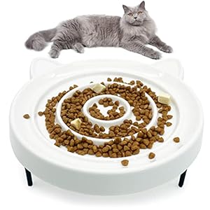 Fhiny Ceramic Slow Feeder Cat Bowl, Elevated Cats Slow Feeding Bowls with Stand, Raised Puzzle Dish Whisker Stress Free Bloat Stop Feeder for Indoor Small Animals Dogs Puppy Healthy Eating Diet-White