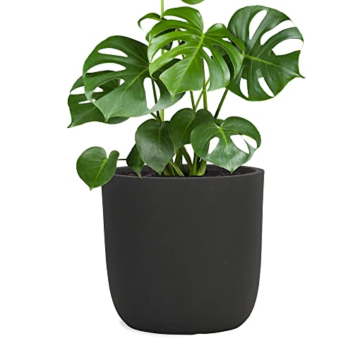 Pflanzwerk® Pot de Fleur Fibre de Verre Cup Ø42cm Anthracite Jardinière antigel* *Protection UV* *Qualité européenne*