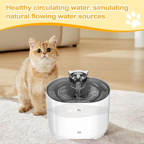 Fuente de agua para gatos y perros con filtro de agua portátil interior 7