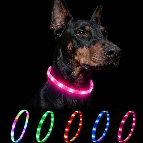 Nepfaivy Light Up Dog Collar - Flashing Dog Collar Lights for The Dark, Rechargeable LED Collars with 4 Glow Modes for Small Medium and Large Dogs, 70cm,Pink