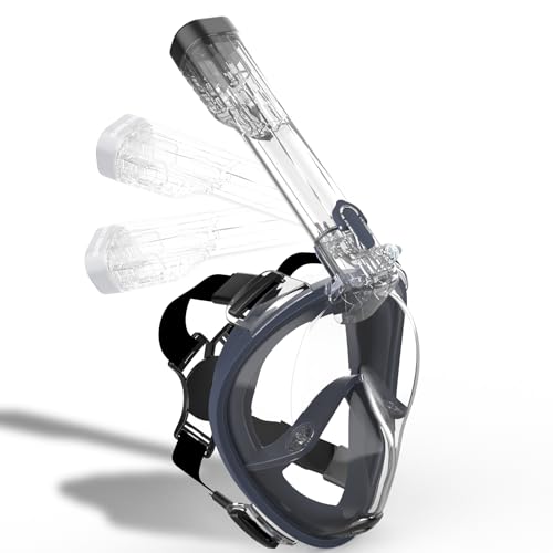 SABRE COVE R10 ttFCX Vm[P}XN lp Vm[PO}XNMA l&qp S^CO2o VR{fBO Rh~ ܂~߃obN gѐ-S/M lCr[u[