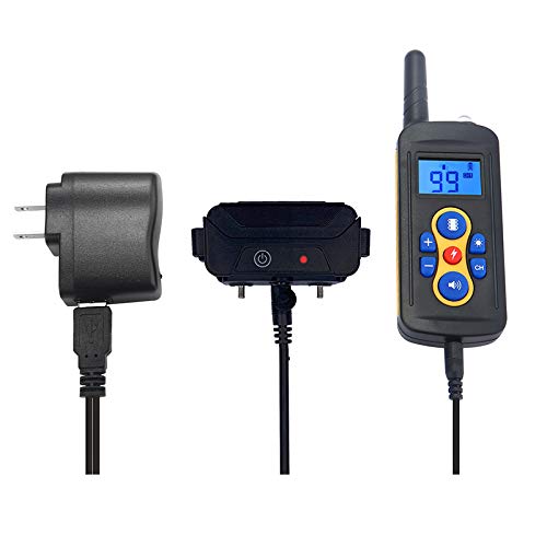 Conseils de dressage avec collier Msuiiixcccc