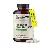 wabi sabi Flora Kulturen Komplex - 180 vegane Kapseln - für 3 Monate - 20 Bakterienkulturen mit 548mg Inulin - magensaftresistentes, geprüftes & hochdosiertes Supplement - deutsche Qualitätsmarke