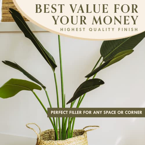 Bird Of Paradise Artificial Plant - Fake Plants Tall, Tall Plants For Living Room Decor, Artificial Plants Indoor - Faux Plants Indoor Tall, Tall Fake Plants Indoor, Banana Tree, Banana Plant (6 Feet) #TOP4