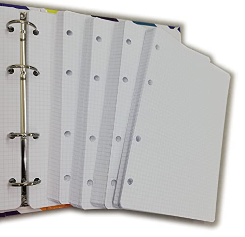 100 Blatt (200 Seiten) mit 4 Löchern im Format A5 14,5 x 20,5 cm. Für Ordner mit 4 Ringen - kariert 4 mm. - für 4. und 5. Klassenzimmer, Papier 120 g/m²