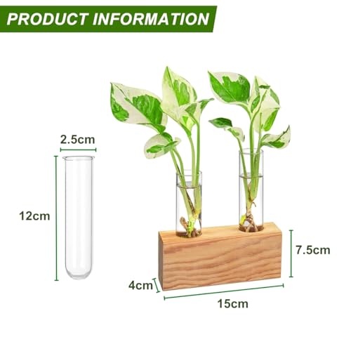 Image of ecofynd Test Tube Planter with Wooden Holder, Air Planter Glass Vase Holder with 2 Test Tube, Home Decor Hydroponic Plant Stand for Table Top, Desktop, Living Room, Office (TTP002)