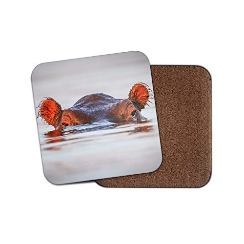 Sottobicchiere Funky Hippopotamus – Animali selvatici Africa ippopotamo Cool River Sea Gift #15643