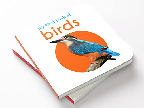 My First Book of Birds - Thumbnail 4
