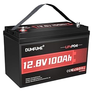 Dumfume 12V 100Ah LiFePO4 Batterie
