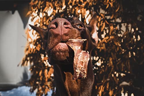 Hygiène dentaire dentaire pour chiens - 100 % naturelle - Aide au brossage des dents - Friandises naturelles OGF (L) - Image 7