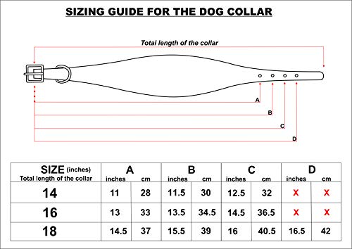 Avon Pet Products, luxuriöses Hundehalsband, handgefertigt, Naturleder, für Rennhunde/Jagdhunde