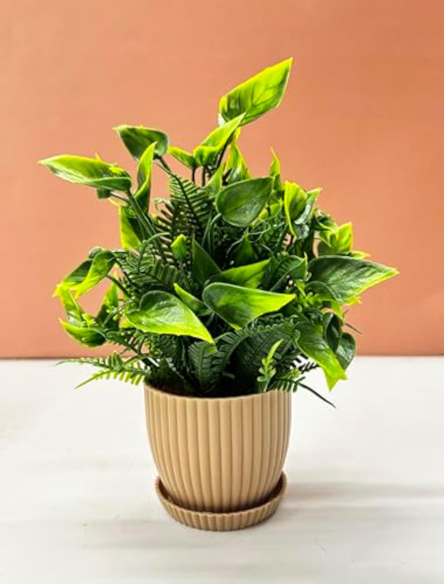 6 Packs Mini Artificial Plants for Indoor Home Décor