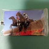 まねき馬 2543 第146回中山大障害 マイネルグロン 石神深一