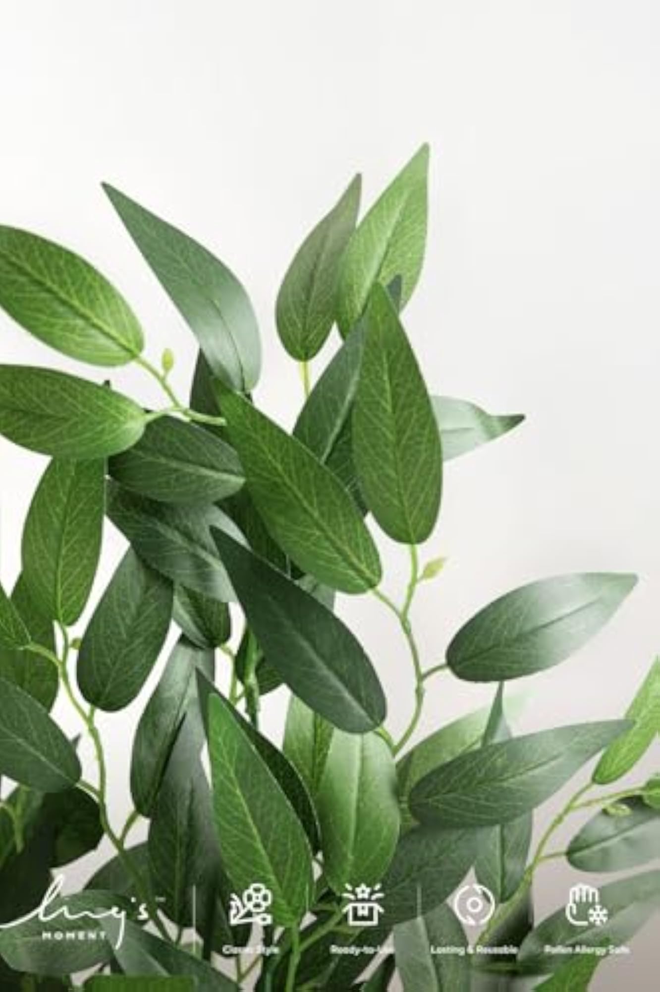Artificial Italian Ruccus for Home Decoration